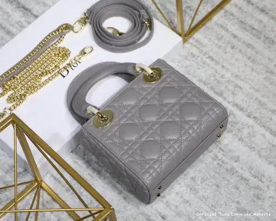 Tony Luxuries Mini With Lambskin diro Lady 0523